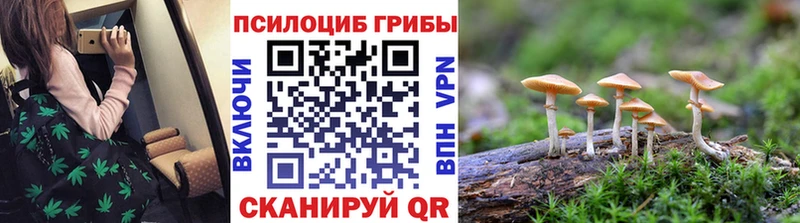 кракен как зайти  Красногорск  Галлюциногенные грибы MAGIC MUSHROOMS 