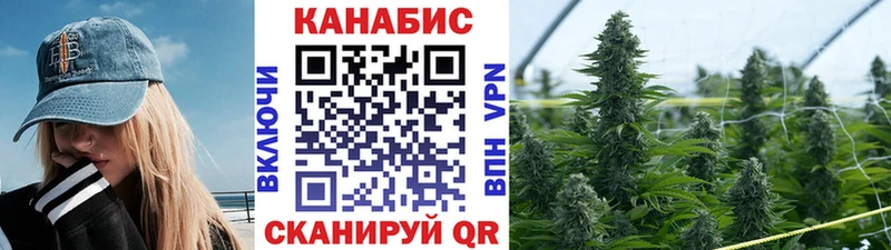 что такое   Красногорск  Бошки марихуана Amnesia 